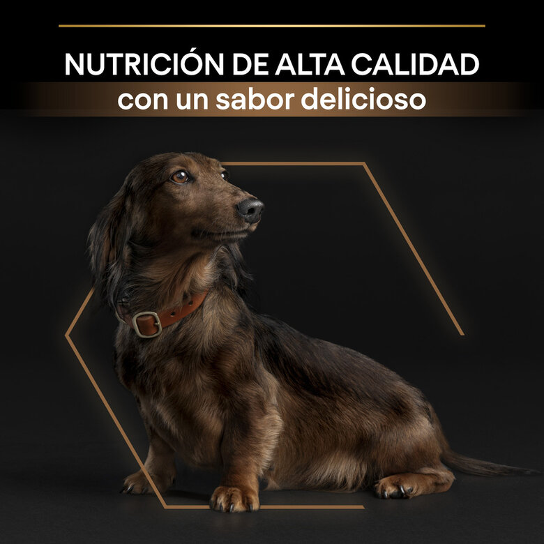 Pro Plan Small & Mini Adult Duo Délice Pollo pienso para perros image number null
